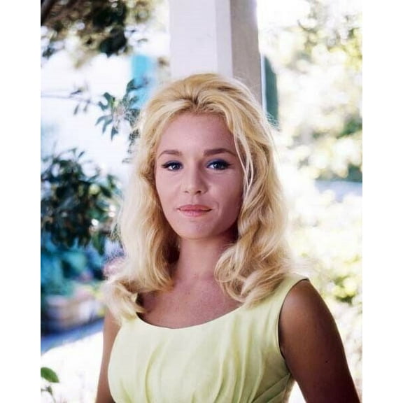 Tuesday Weld looks stunning in sleeveless dress 1968 Pretty Poison 24x36 poster