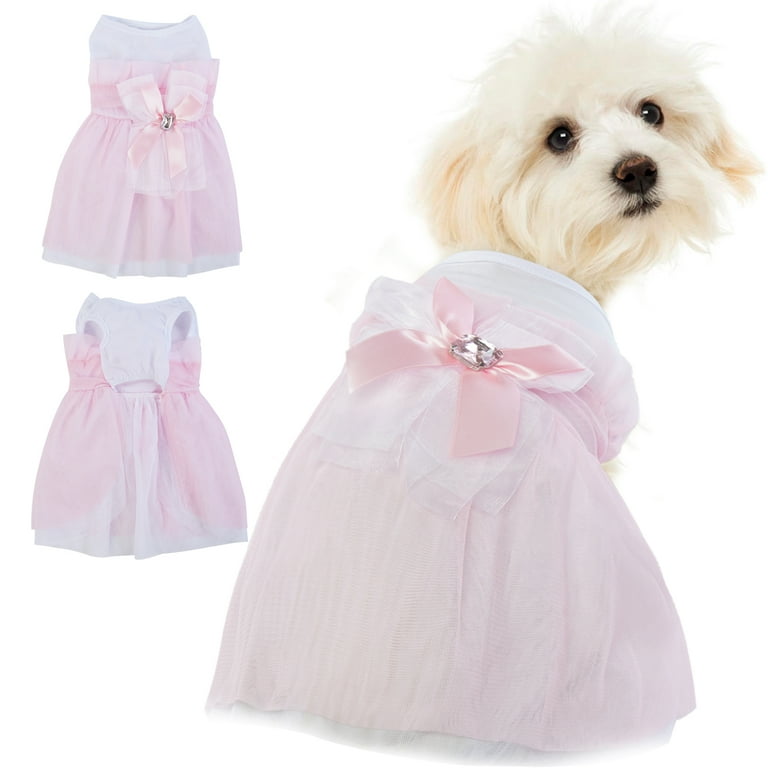 Dog in wedding clearance dress