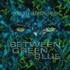 David Helpling - Between Green & Blue - New Age - CD