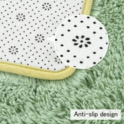 Lochas Fluffy Soft Shag Carpet Rug for Living Room Bedroom Big Area Rugs Floor Mat, 3x5,Green
