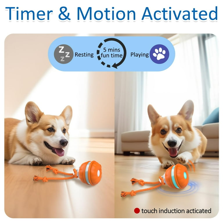 Sofolor Interactive Dog Toys Motion Activated Dog Ball Automatic Rolling Ball Toys for Puppy Small Dogs KK25 Walmart