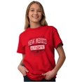 thumbnail image 4 of New Mexico Student Alumic Gameday Men's Graphic T Shirt Tees Brisco Brands S, 4 of 6