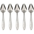 thumbnail image 1 of Parrot Feeding Spoon 5PCS Stainless Steel Water Milk Powder Spoons Feeder Feeding Tool for Pet Birds, 1 of 5