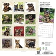 thumbnail image 2 of The Beauty of Yorkshire Terrier Puppies | 2024 12x24" Wall Calendar | StarGifts, 2 of 8