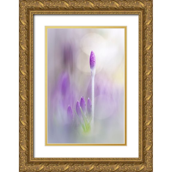 Daalder, Bob 17x24 Gold Ornate Wood Framed with Double Matting Museum Art Print Titled - Spring Is Sure To Follow