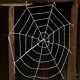 thumbnail image 2 of Arañas Aterradoras Negras Patas Araña Flexibles Halloween para Patio (telaraña), 2 of 7