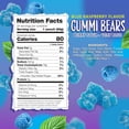 thumbnail image 3 of Sour Bears Gummy Candy | 24 Packs | Blue Candy | Raspberry Jelly Bears for Lunchbox Snacks, Goodie Bags & Baby Boy Shower Favors, 3 of 5