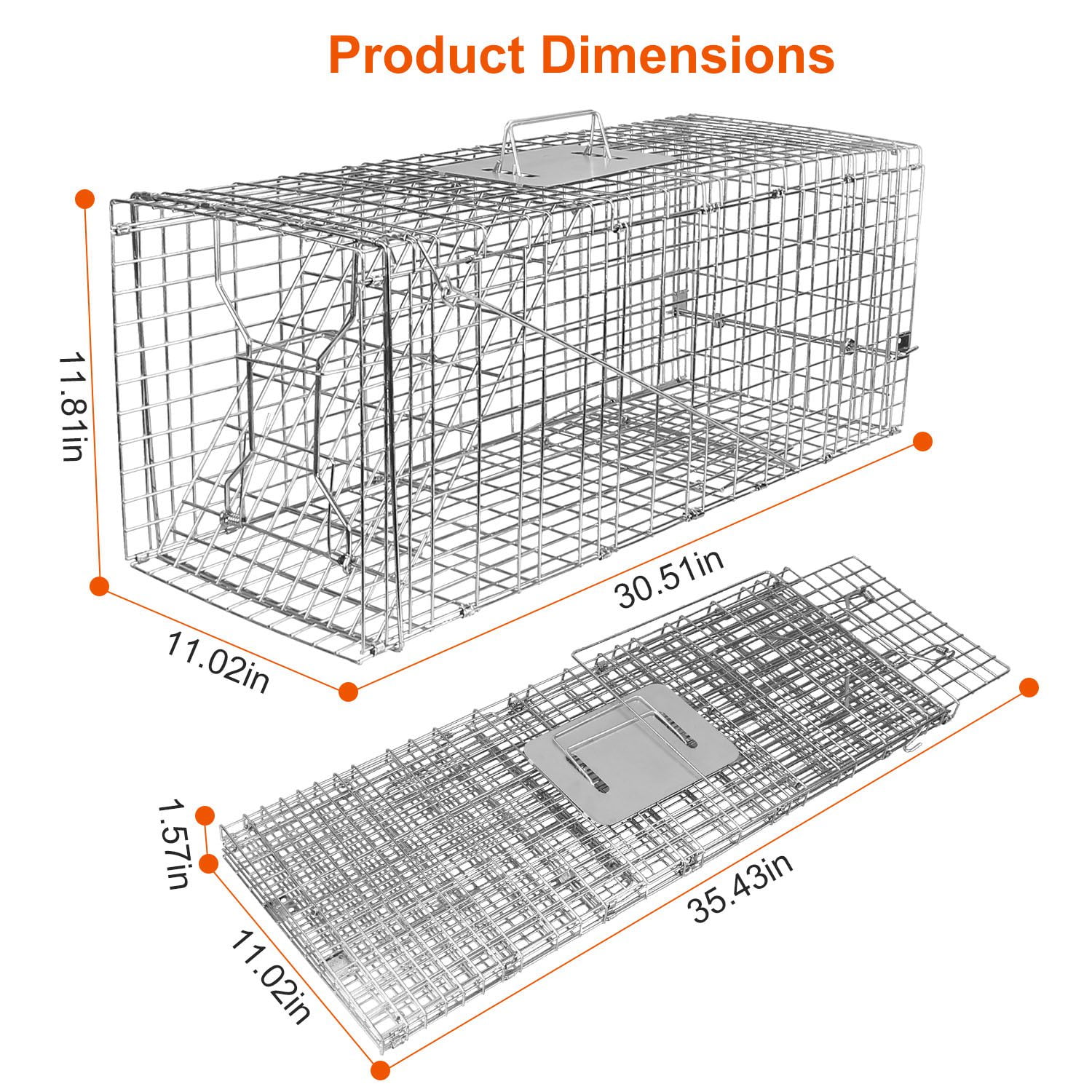 Humane Live Cat Cage 30inch Galvanized Wire Catch Release Collapsible Animal Rodent Cage for Raccoons Beavers Groundhogs Foxes Armadillos Under 16.5lbs