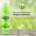 thumbnail image 4 of Alma Belleza Bergamot Hair Care Set – Shampoo + Keratin & Conditioner with Allantoin and Amino Acids – Strengthening & Nourishing Formula – 16.23 fl oz Each (2 Pack), 4 of 7