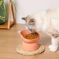 thumbnail image 5 of Raised Cat Bowl - Plastic Pet Food & Water Bowl, Anti-Tip Base, Wide Shallow Mouth, Whisker-Friendly, 250ml Capacity, 5 of 6
