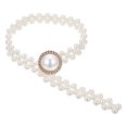 thumbnail image 1 of 2pcs Metal Pearl Decoration Curtain Tieback Simple Strapping Elastic Belts, 1 of 7