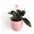 thumbnail image 1 of Maceta Colgante Pequeña Wally Rosa MAWPGRSM-PK, 1 of 3