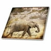 3dRose Elephant mixed media collage out of Africa text - Ceramic Tile, 4-inch
