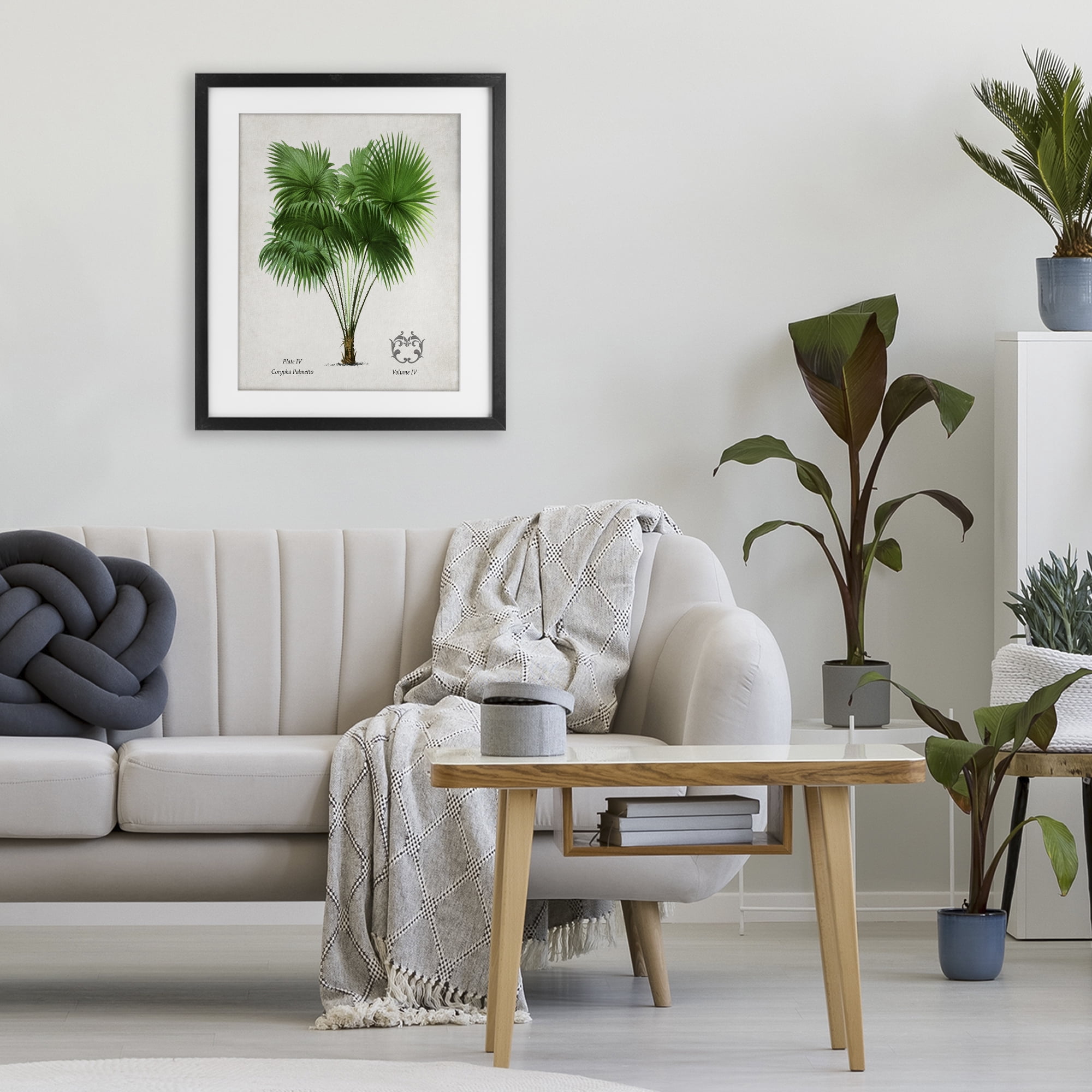 Stupell Industries Fan Palm Vintage Study Black Framed Print Under Glass, design by Val Rhodes