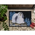 thumbnail image 3 of Starry Night Havanese Door Mat Doormat, 3 of 4