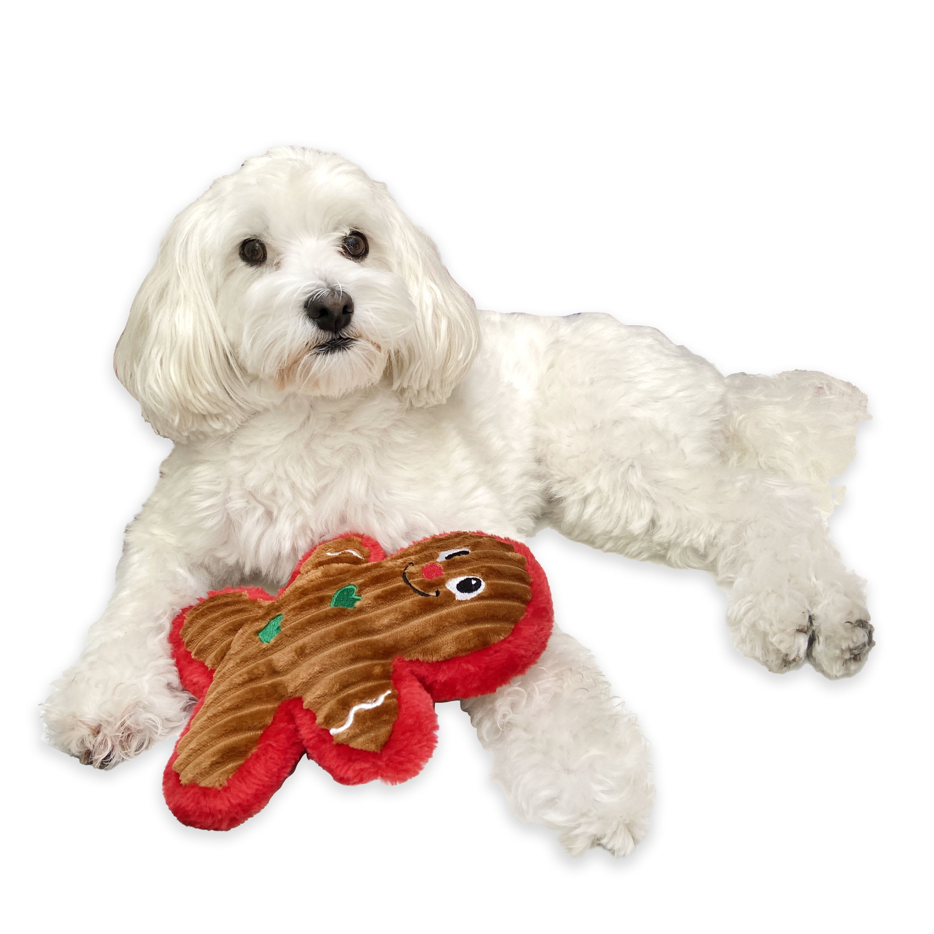 Dog Toy Small and Large Dog Toy Boredom Buster IQ Festive