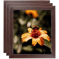 ArtToFrames 15" x 18" Wooden Finish Mahogany Picture Frame, 15x18 inch Brown Wood Poster Frame (WOM-4958), 3 Pack