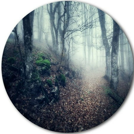 Old Style Metal - Design Art 'Old Style Path in Forest' Photographic Print on Metal