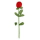 thumbnail image 1 of Joyero Rosa Flor Bewildely Estuche para anillos, 1 of 6