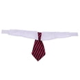 thumbnail image 4 of Collar de corbata para perros y gatos Sunnimix a rayas, 4 of 8