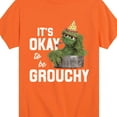 thumbnail image 3 of Sesame Street - Oscar Its Okay To Be Grouchy - Toddler and Youth Short Sleeve Graphic T-Shirt, 3 of 5