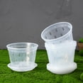 thumbnail image 3 of CIMAXIC 5Sets Assorted Color Clear Plant Pots with Drainage for Orchid Growing, 3 of 10