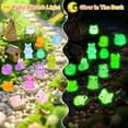 thumbnail image 4 of 20 Pcs Tiny Resin Animals to Hide ,Mini Resin Animals Bulk Mini Ducks Tiny Frogs Pandas Small Rabbits Glow in The Dark For Miniature Garden Accessories Micro Landscape Aquarium Potted Decoration, 4 of 7