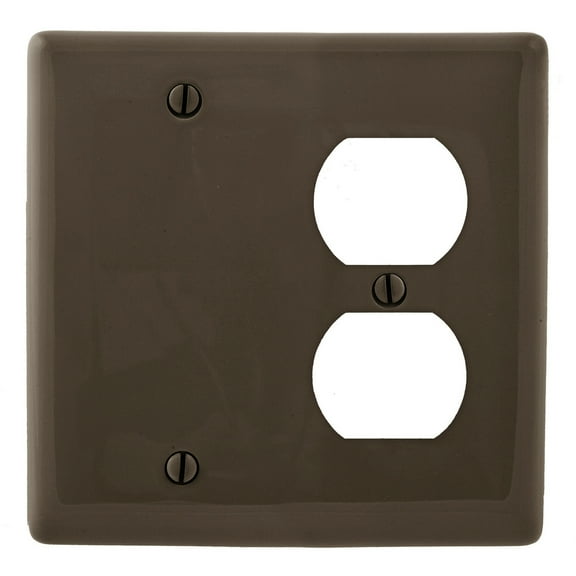 Hubbell NP138 Brown 2-Gang Outlet Blank Cover Duplex Receptacle Wallplate