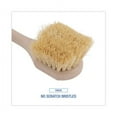 thumbnail image 4 of Utility Brush, Cream Tampico Bristles, 5.5" Brush, 3" Tan Plastic Handle | Bundle of 2 Each, 4 of 5