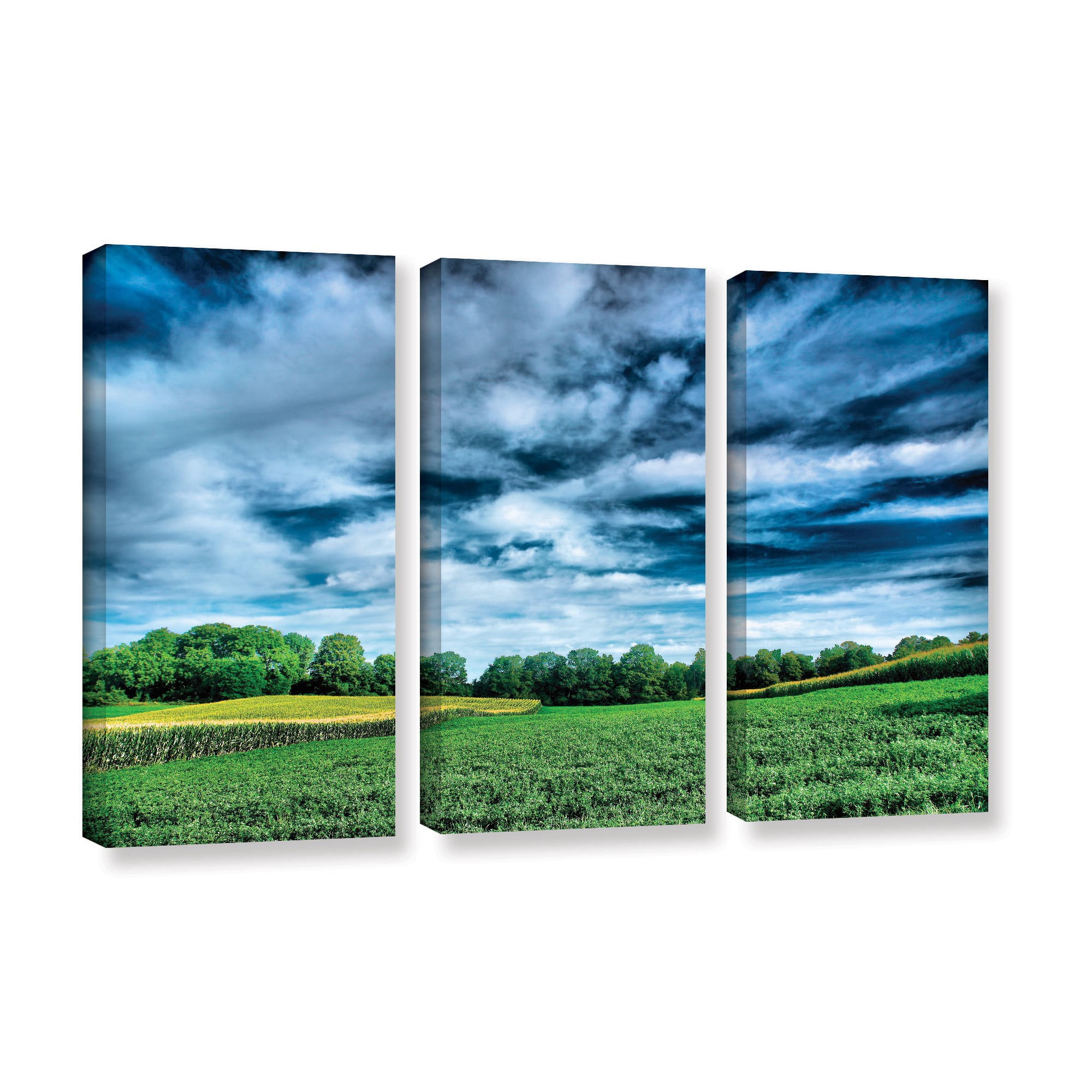 ArtWall Steve Ainsworth "Field Of Dreams" 3-Piece Gallery-wrapped Canvas Set