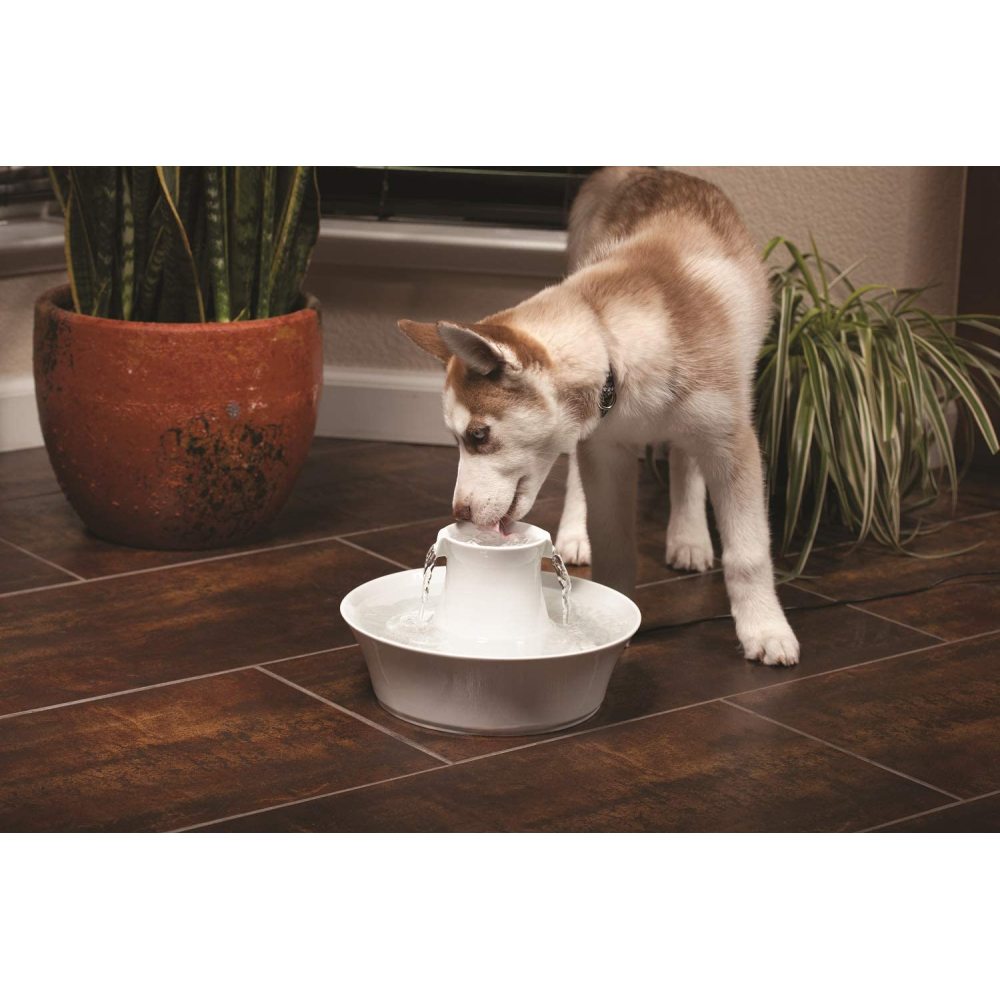 PetSafe Drinkwell Replacement Foam Filters 2-Pack For 360 Plastic Pet Fountain