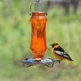 thumbnail image 5 of Perky-Pet Carnival Glass Vintage Oriole Feeder - 16 oz Capacity, 5 of 5
