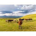 thumbnail image 2 of Zwick, Martin 14x12 White Modern Wood Framed Museum Art Print Titled - Horses for the production of milk-kumys and meat A typical farm on the Suusamyr plain-a high valley, 2 of 4