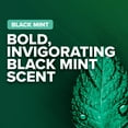 thumbnail image 5 of Irish Spring Black Mint Body Wash For Men, 24 Hour Fresh Scent, 18 fl oz, 5 of 7