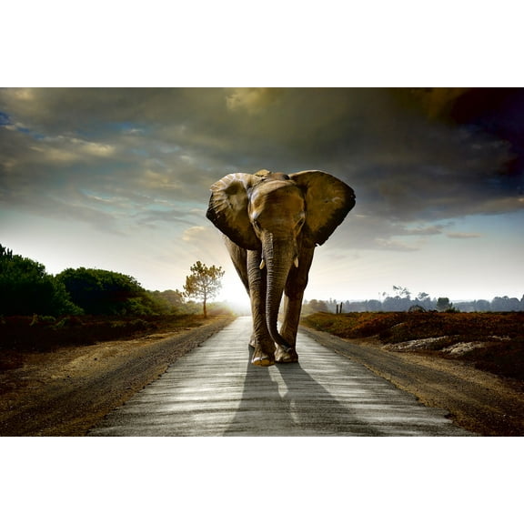 Dimex Walking Elephant Wall Mural Wallpaper