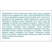 Himalaya Botanique Whitening Complete Care Toothpaste, Mint Flavor, 5.29 oz
