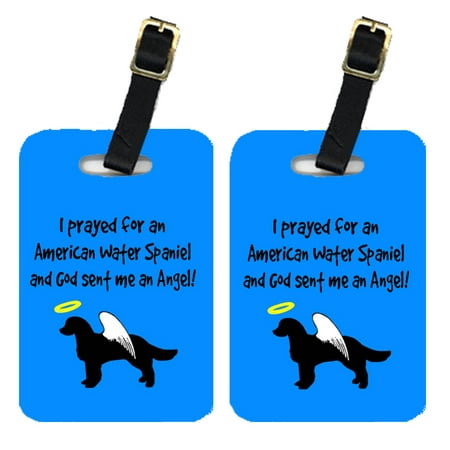 Pair of 2 American Water Spaniel Luggage Tags