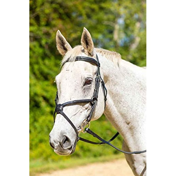 Shires Avignon Woodside Bridle Havana XFull