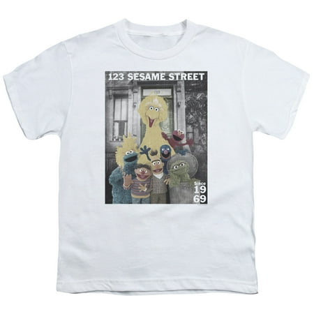 Sesame Street Classic Children's TV Show Best Address 123 Big Boys Youth (Best Street Fighting Tips)