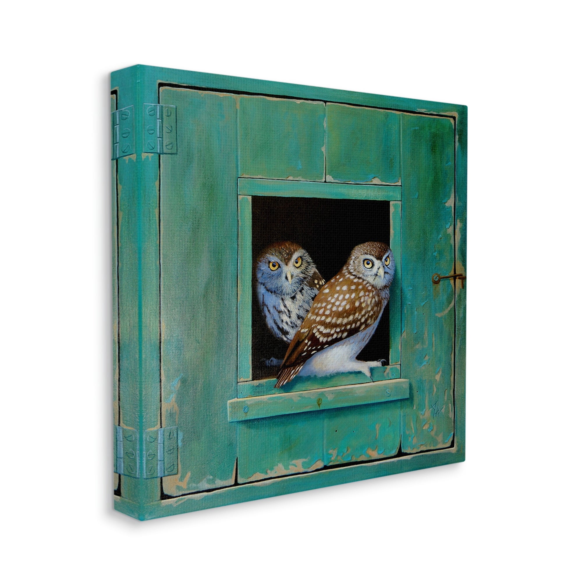 Stupell Industries Spotted Owls Perched Rustic Green Door Ledge Painting Gallery Wrapped Canvas Print Wall Art, Design by Alan Weston