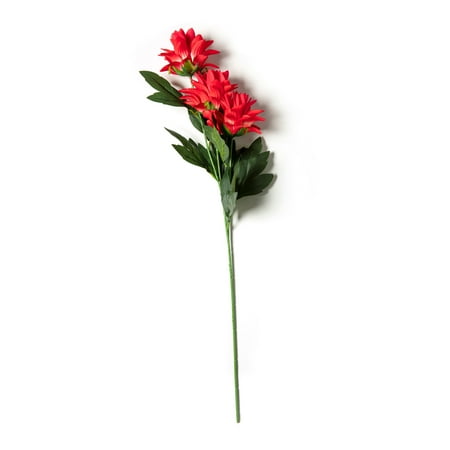 UPC: 0191518182668 | Red Hops Stem by Ashland®