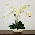 thumbnail image 4 of Nearly Natural Phalaenopsis Orchid Artificial Floral Arrangement with Ceramic Planter - 23" - White, 4 of 7