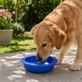 thumbnail image 6 of Pet Cooling Bowl, Chilled Pet Water Bowl, Summer Pet Cooling Ice Bowl, Heat Relief, Special Cooling Ice Bowl, Maintains Low Water Temperature for Long Time, 6 of 9