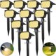 thumbnail image 1 of Focos solares Tadyreal, paquete de 10, 46 LED, blanco cálido, 1 of 7