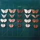thumbnail image 1 of Doll Icy Toy Ears Toy White Natural Tan Dark And Super Black Skin, Only Ears No Doll heqiyong LED, 1 of 2