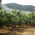 thumbnail image 3 of VASLON 33 x 16 Ft Anti Bird Net Reusable Nylon Anti Bird Mesh Netting Garden Bird Netting Protect Plants Fruit Trees Crops from Bi, 3 of 6