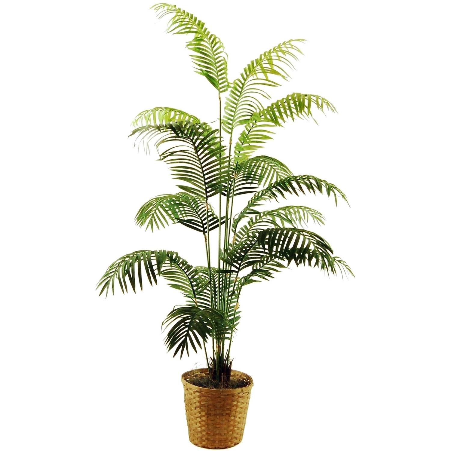 72" Artificial Areca Palm in a Basket with Spanish Moss