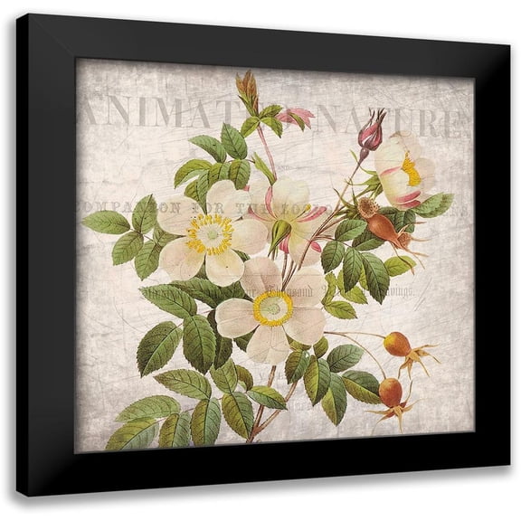 Kimberly, Allen 12x12 Black Modern Framed Museum Art Print Titled - Vintage Floral 1