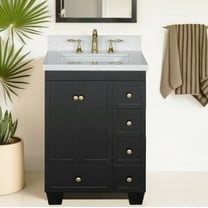 Lavanti Depos Solidwood 24-inch Bathroom Vanity with Sink - Stylish Black