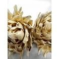 thumbnail image 1 of Lotus Tip Sola (Wood) Flower 6cm, 11 per pack, 1 of 1